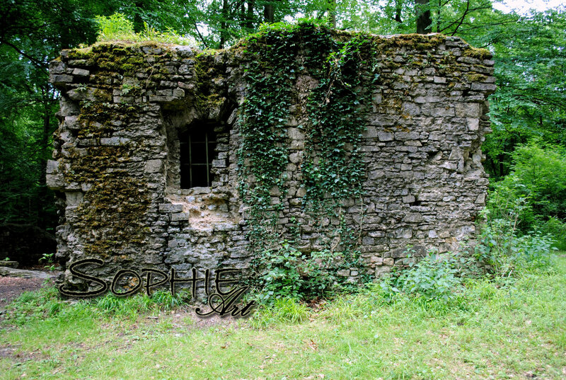 Ruined Stone Wall — Green, Overgrown