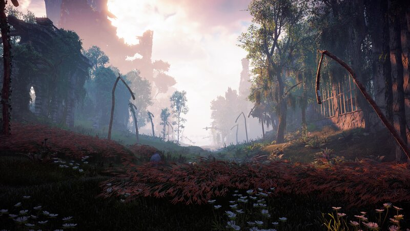 Ruined Structures in Forest