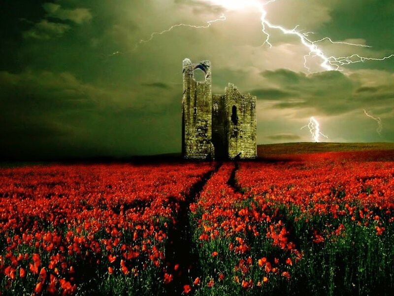 Ruined Tower in Poppy Field