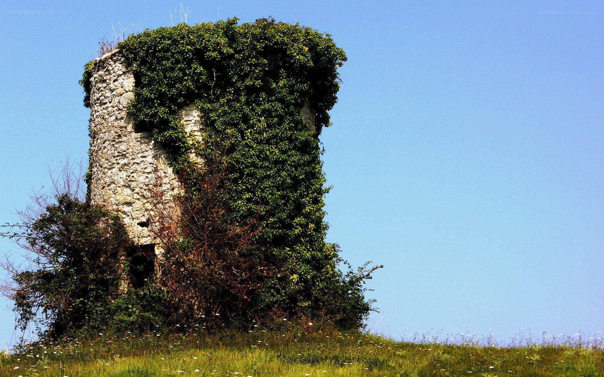 ruined tower on a hill