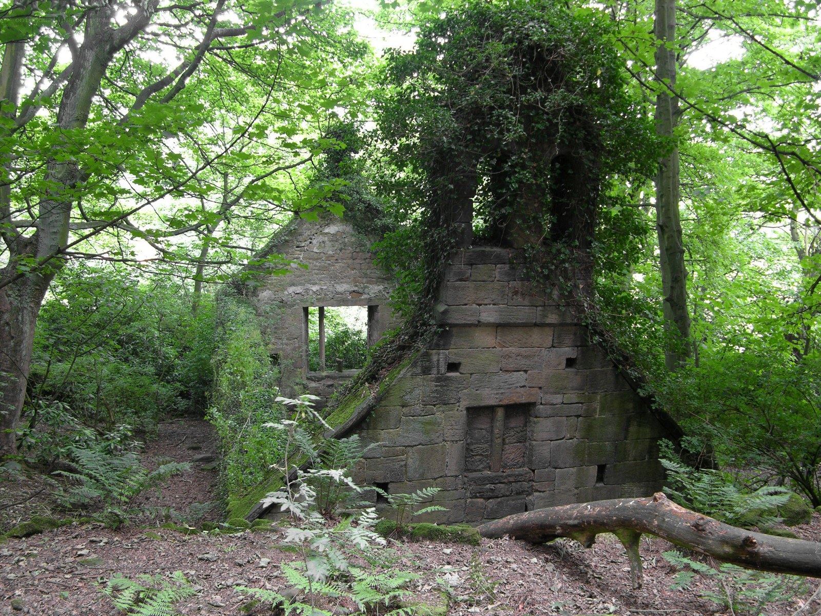 Ruins in a forest