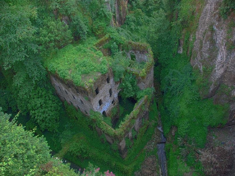 Ruins in a lush forest