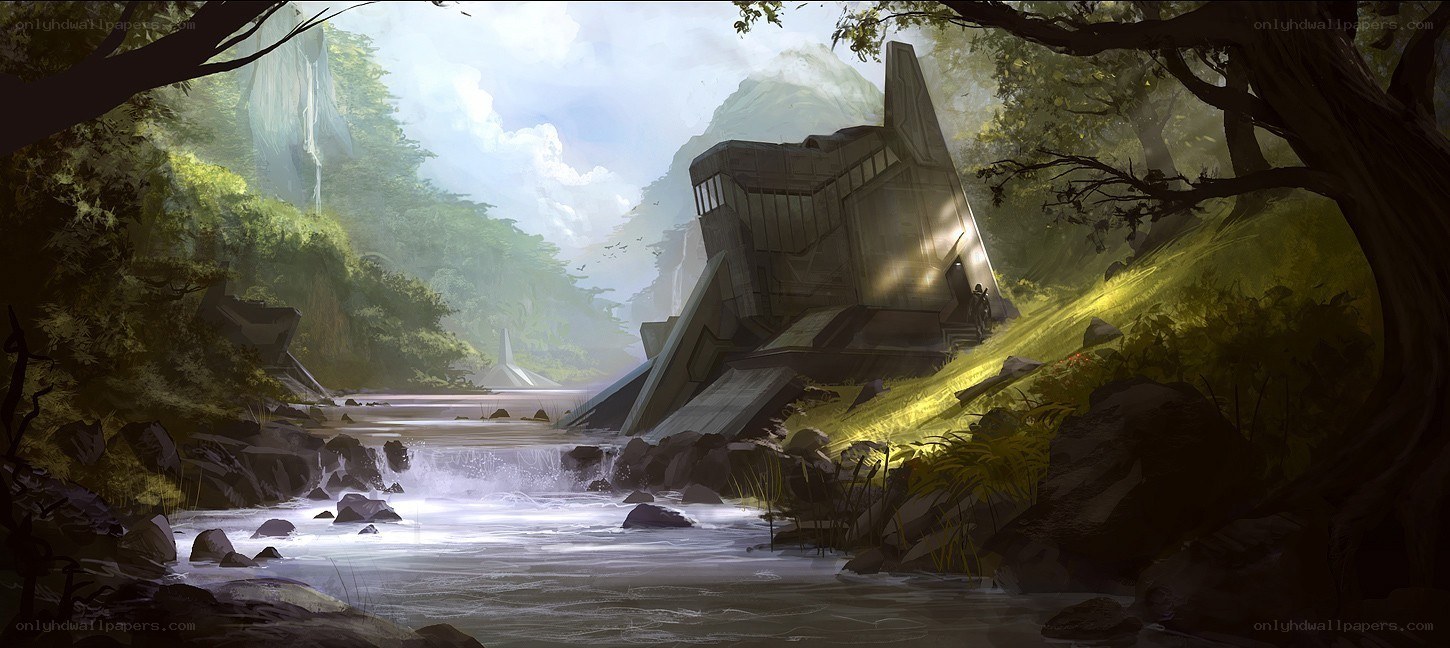 Ruins in a lush forest
