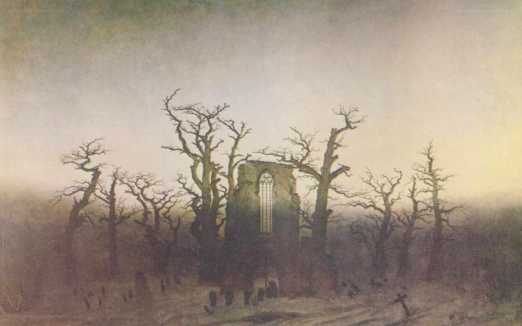 Ruins in a misty forest