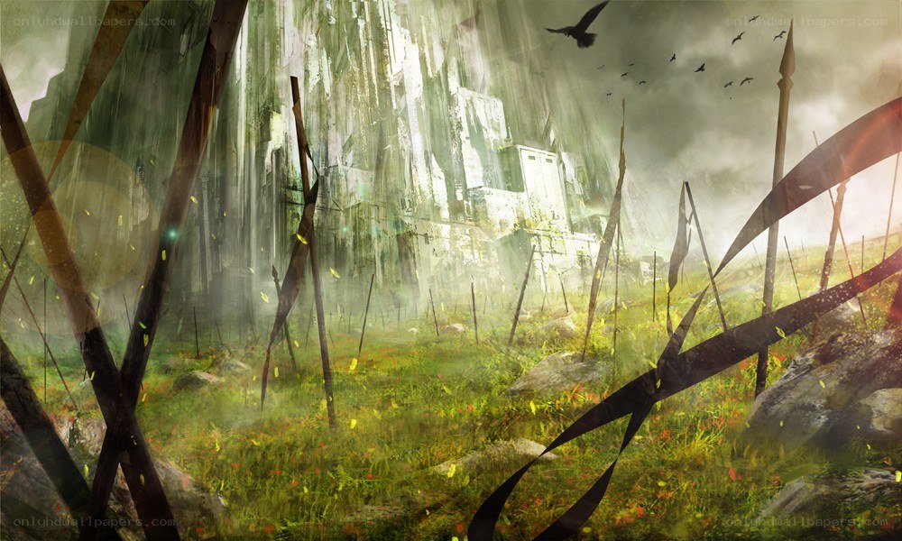 Ruins in a misty forest