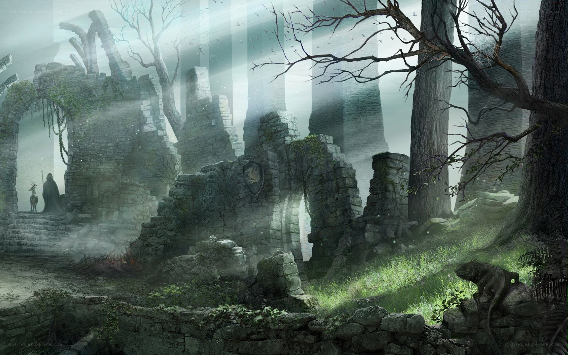 Ruins in a misty forest
