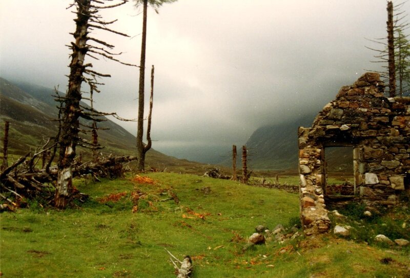 Ruins in a misty valley