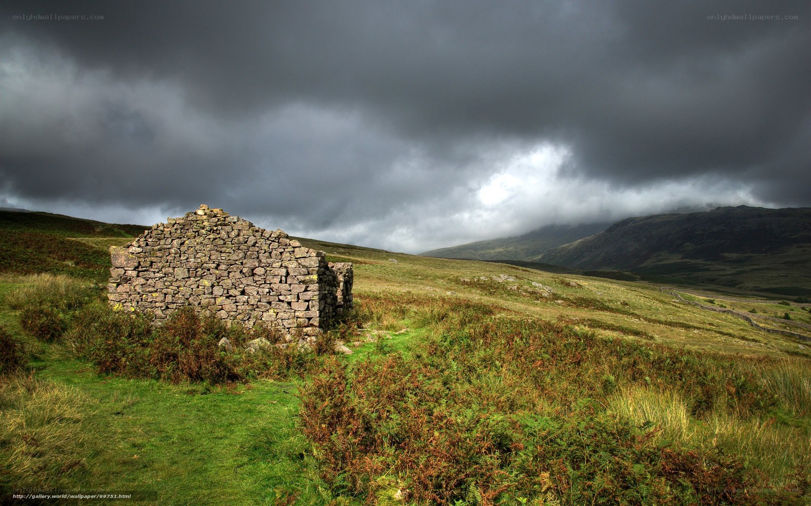 Ruins in a moorland landscape