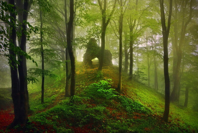 Ruins in Misty Forest — Green
