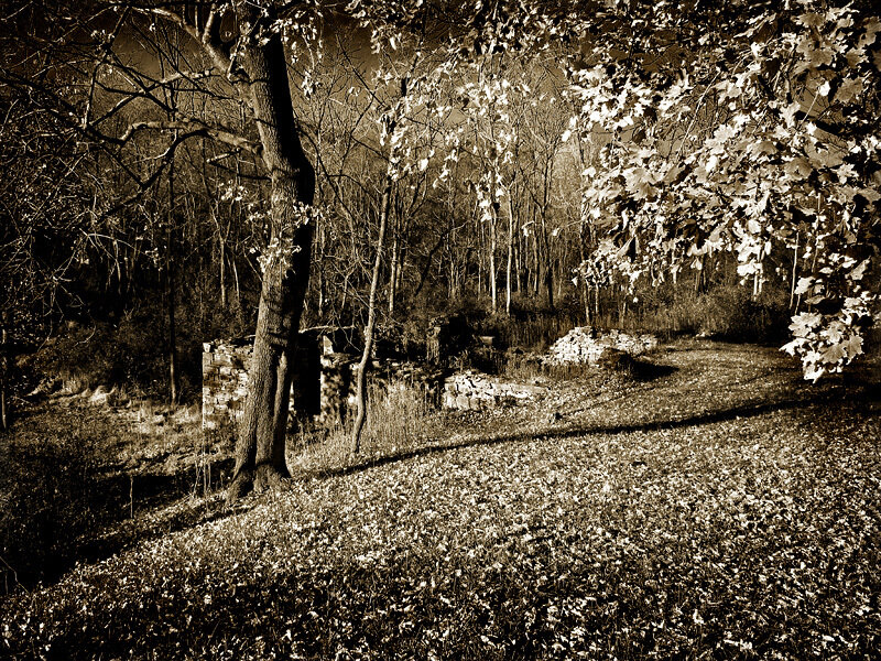 Ruins in Wooded Area