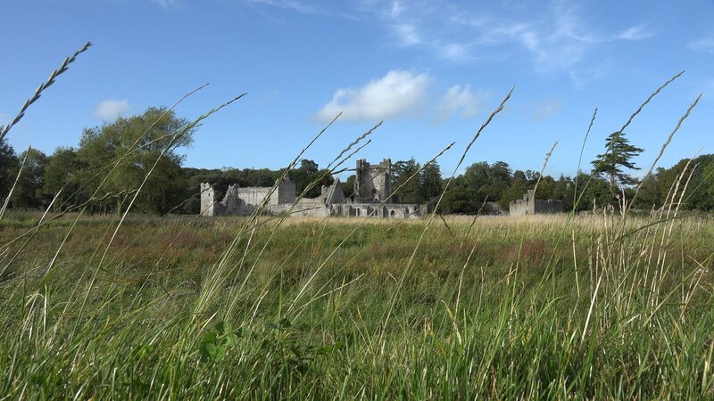 Ruins of a Castle — Green, Serene, Afternoon, Photograph