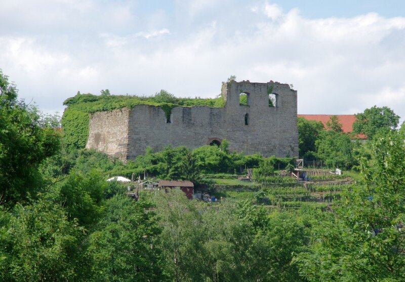 ruins of a castle on a hill