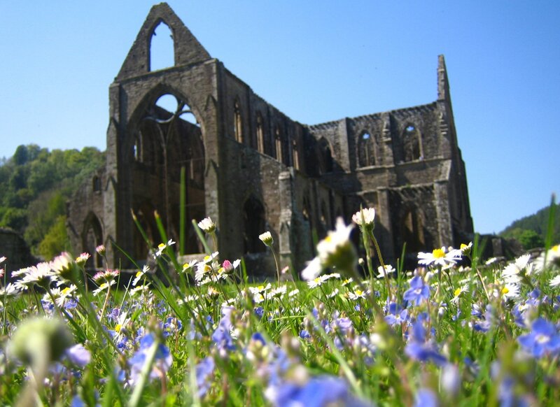 Ruins of a Cathedral — Blue, Serene