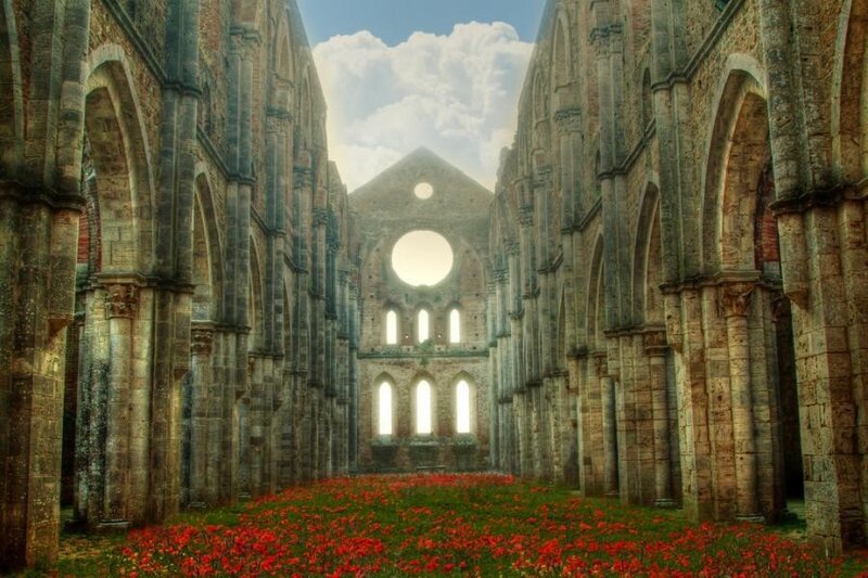 Ruins of a cathedral with poppies