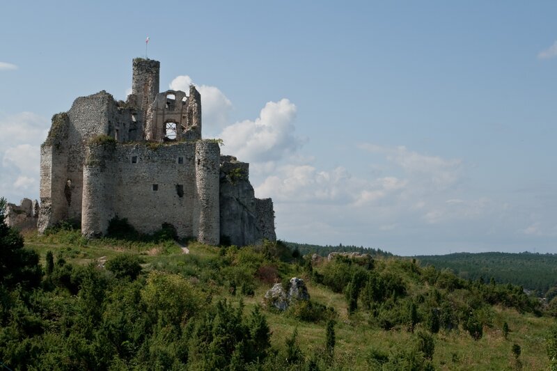 Ruins of a medieval castle