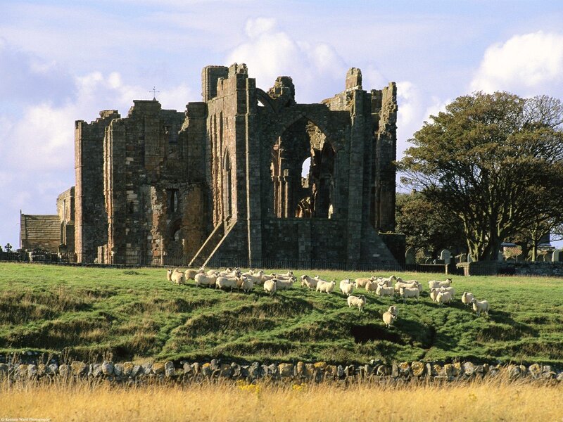 ruins of whitby abbey