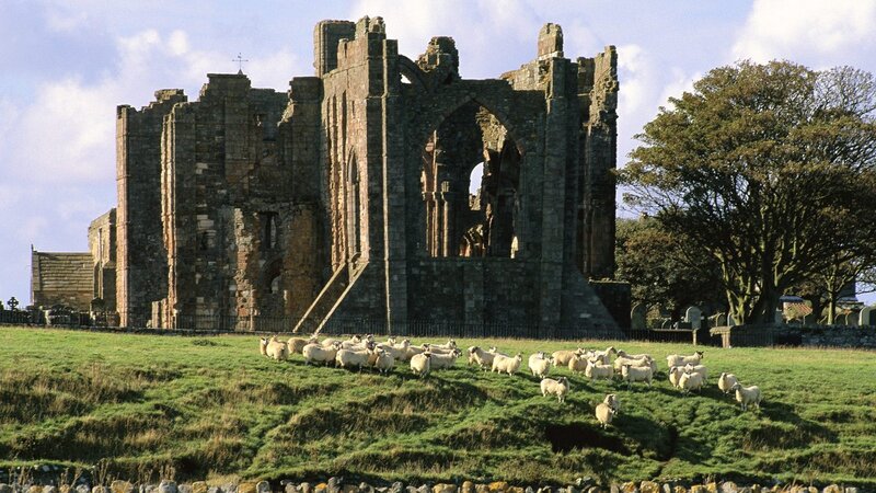 ruins of whitby abbey