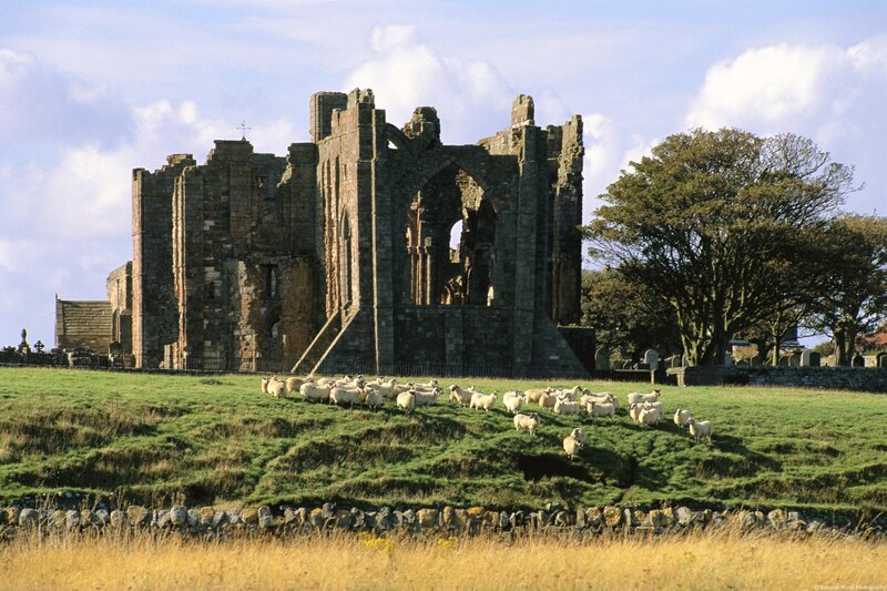 ruins of whitby abbey