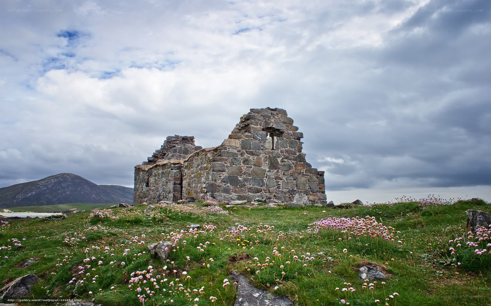Ruins on a flower-covered hill