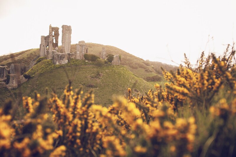 ruins on a hill with yellow flowers