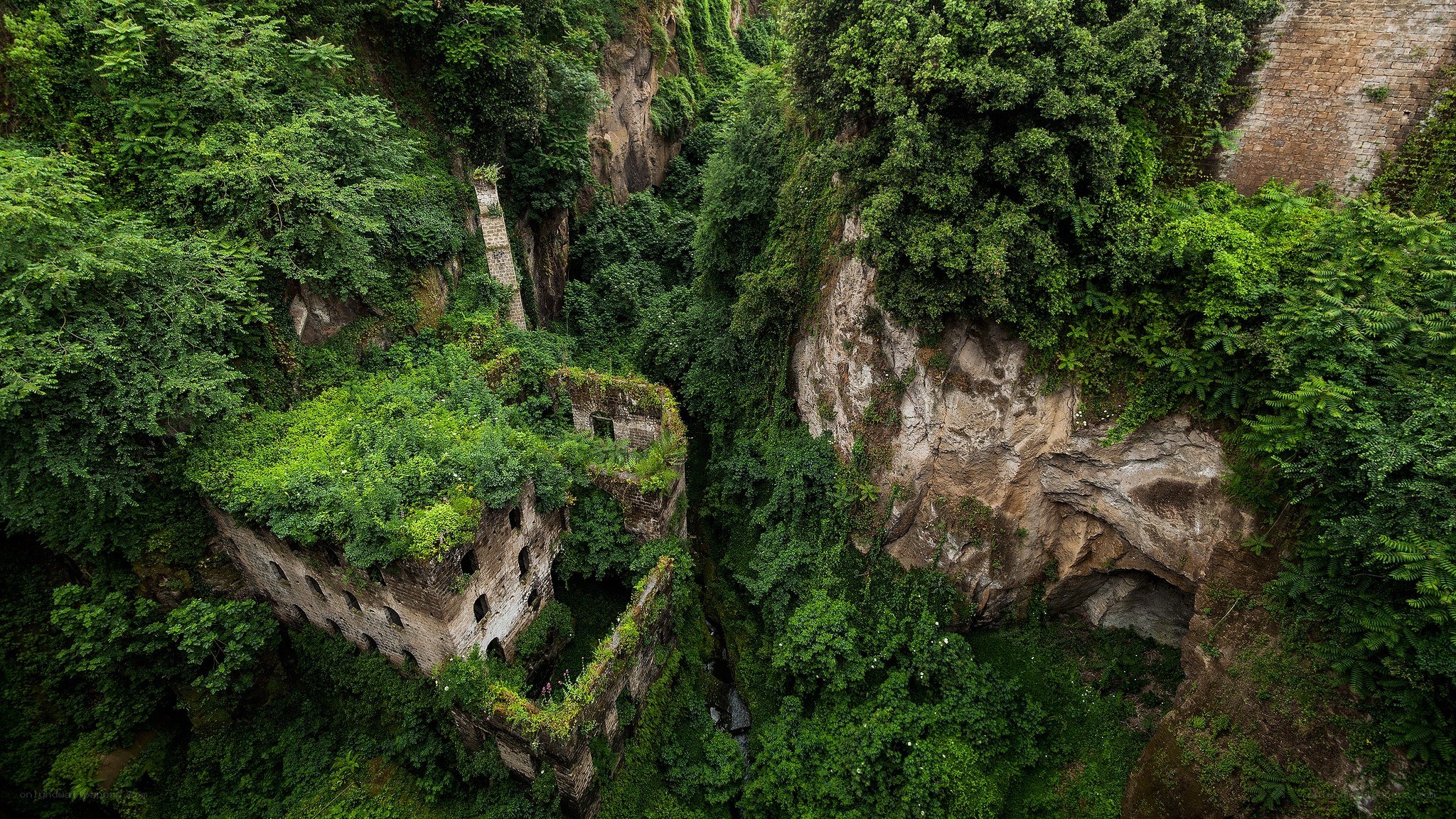 Ruins overgrown by jungle