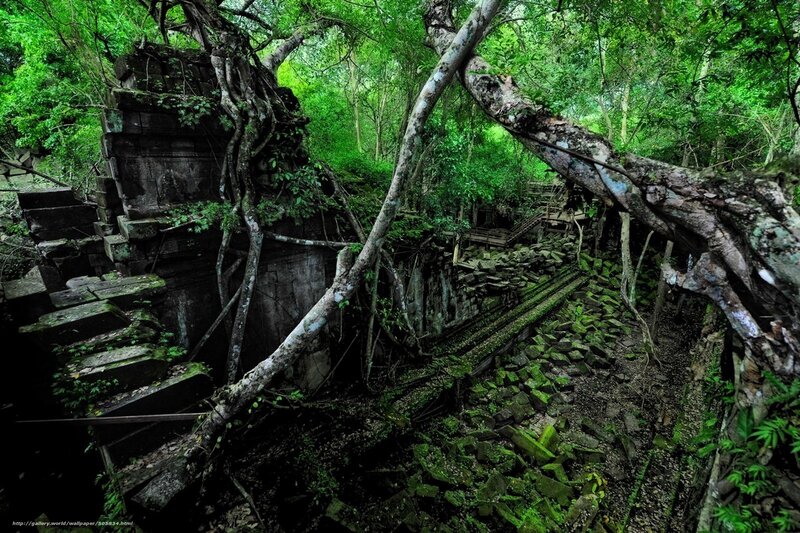 Ruins overgrown by jungle