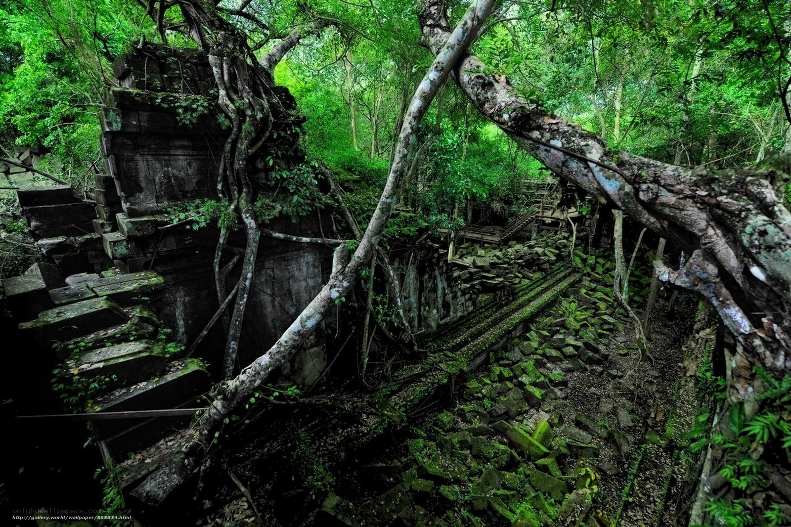 Ruins overgrown by jungle