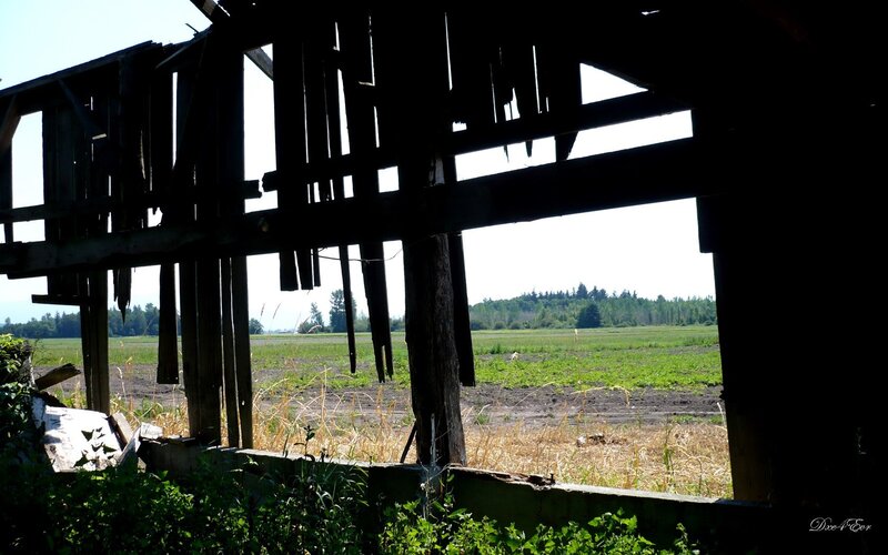 Ruins overlooking a field