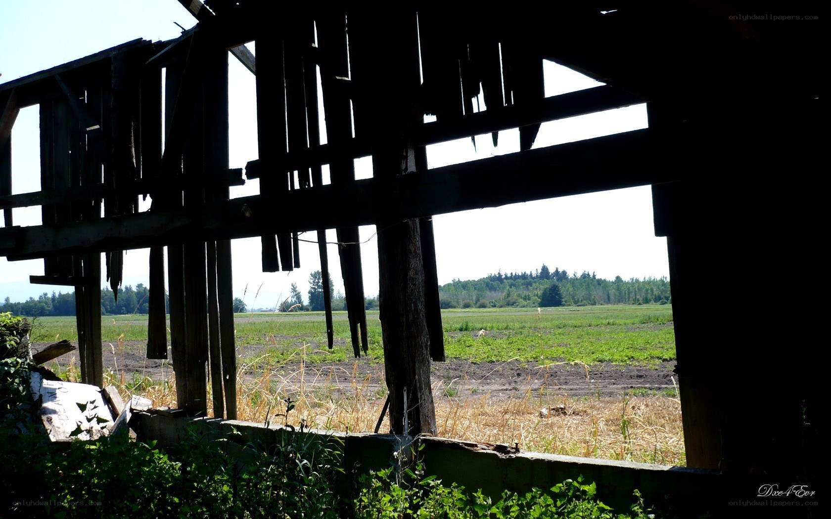 Ruins overlooking a field