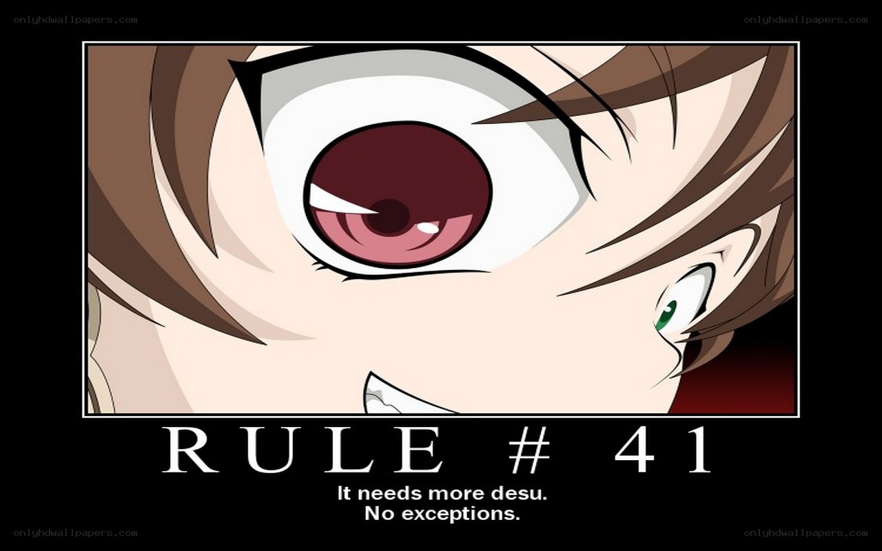 Rule 41 anime meme