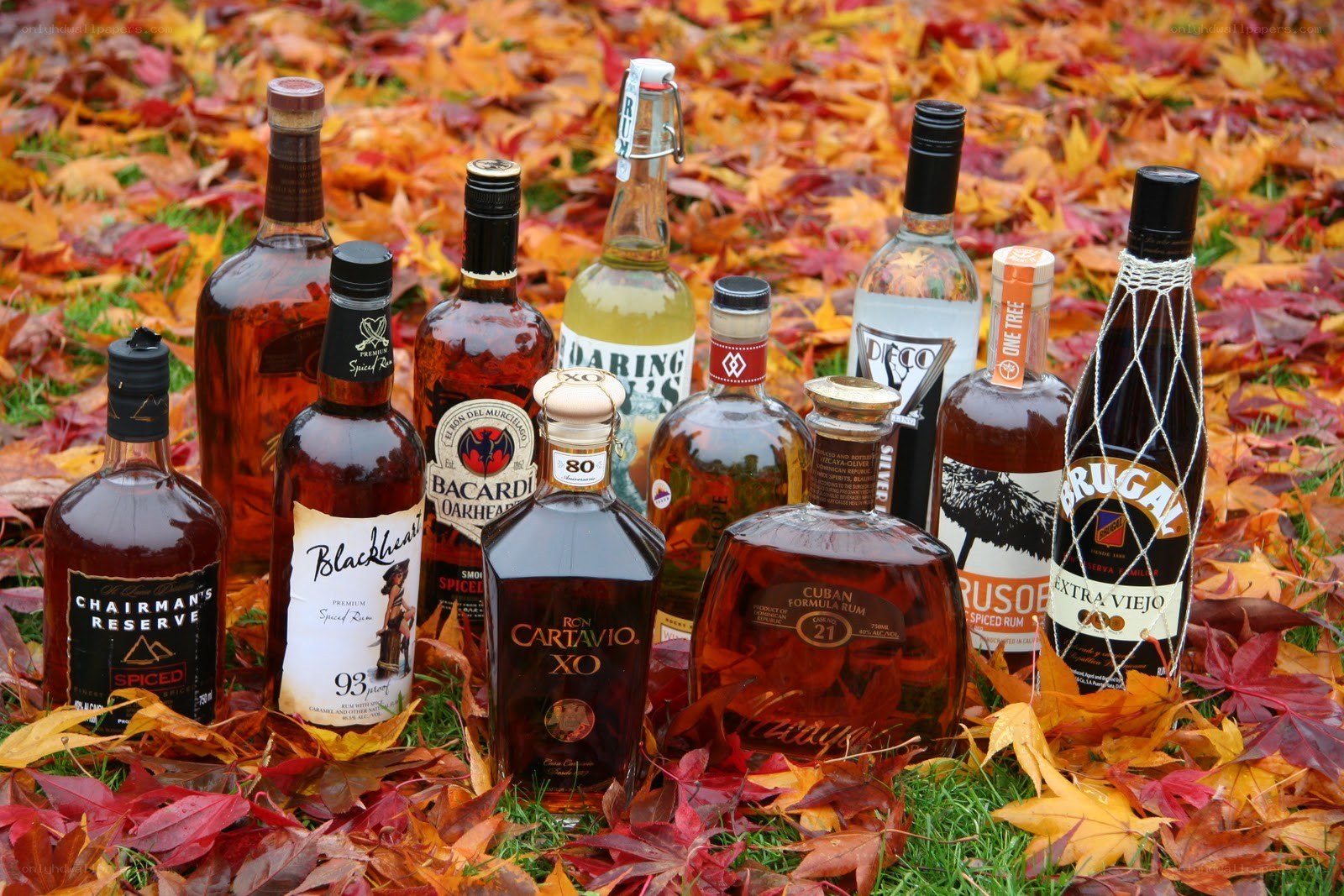 Rum bottles on autumn leaves