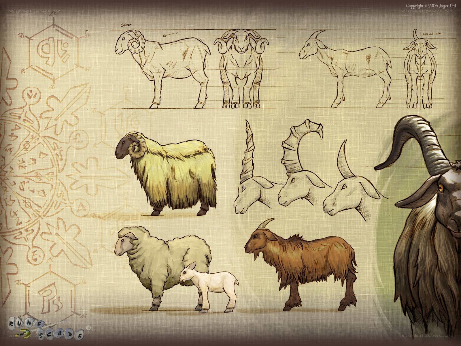 RuneScape sheep and goat designs