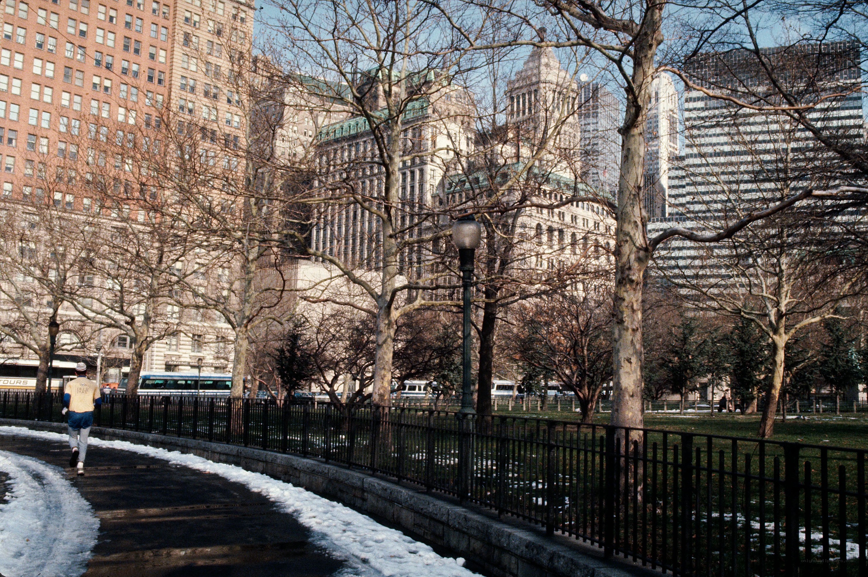 Runner in a city park