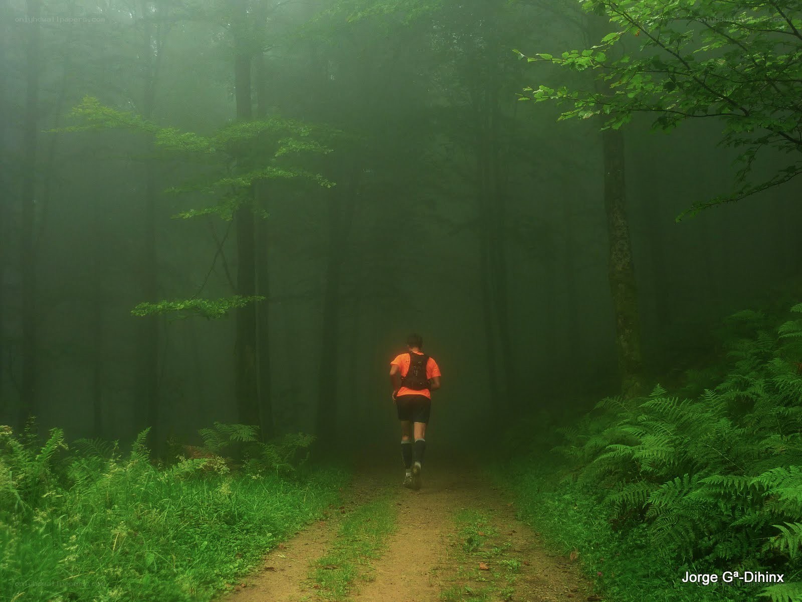 Runner in a misty forest