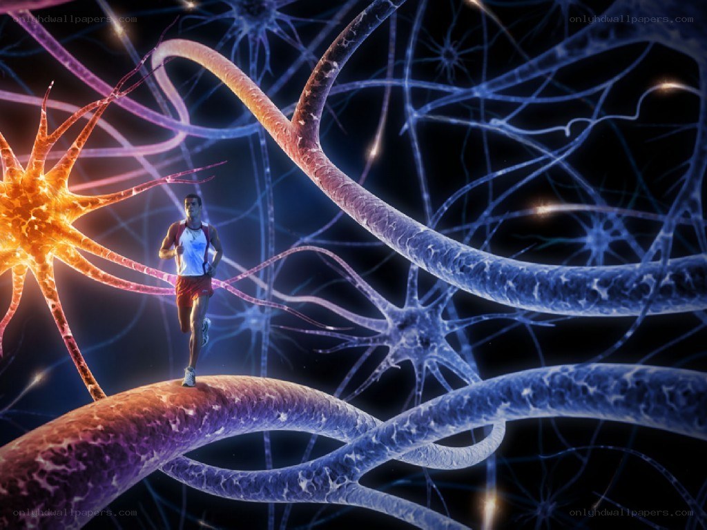 runner on neural network