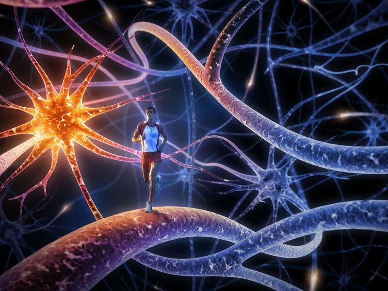 Runner on Neuron Network