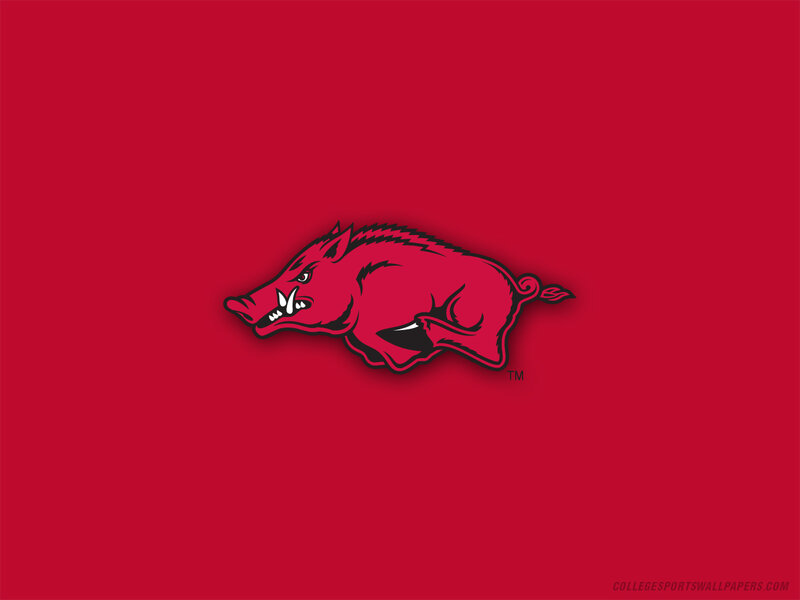 Running Boar Logo
