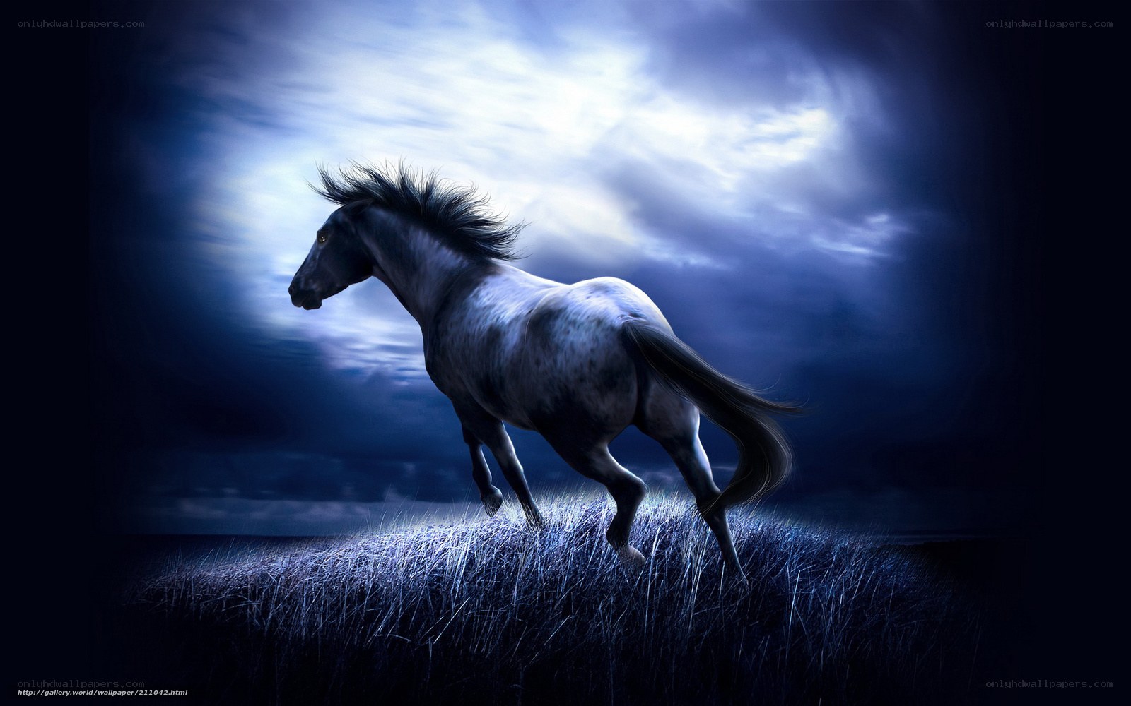 Running horse at night
