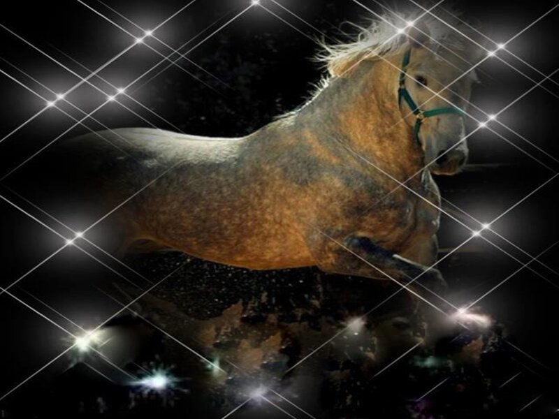 Running Horse — Black