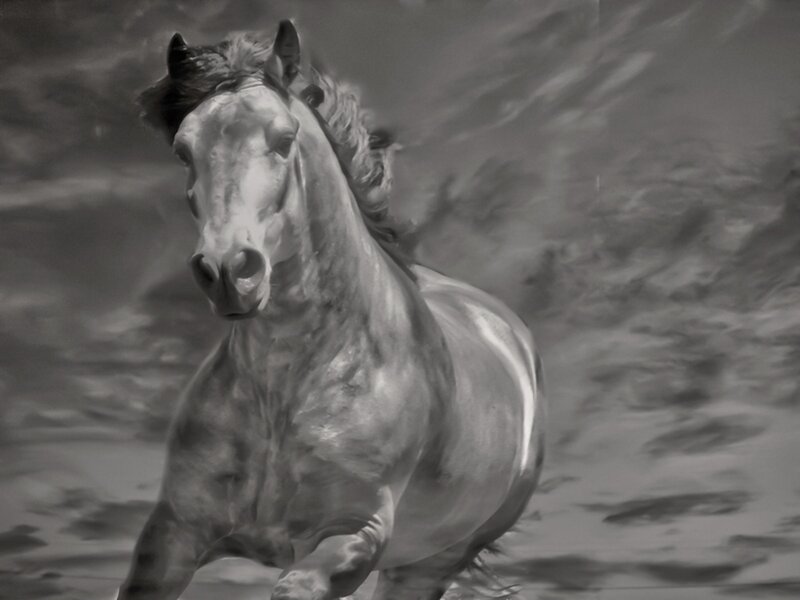 Running Horse — Gray, Dynamic