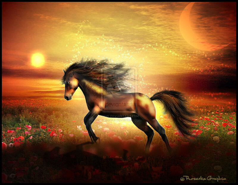 Running Horse in Field — Orange