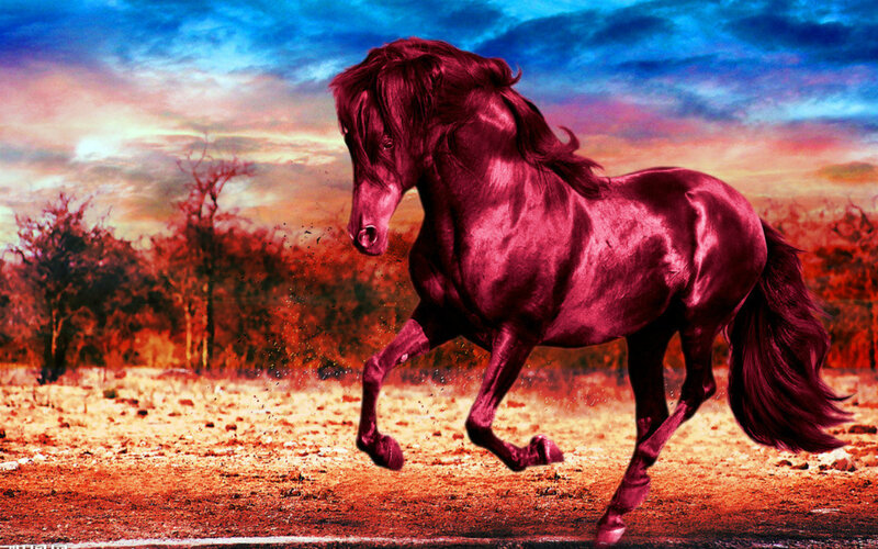 Running Horse — Red