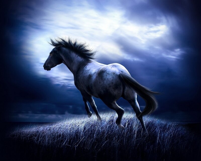 Running horse under moonlight