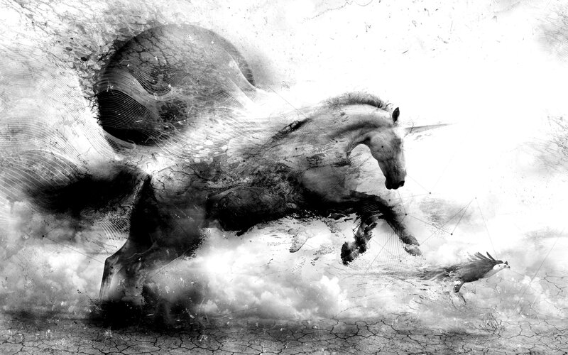 Running Horse with Bird