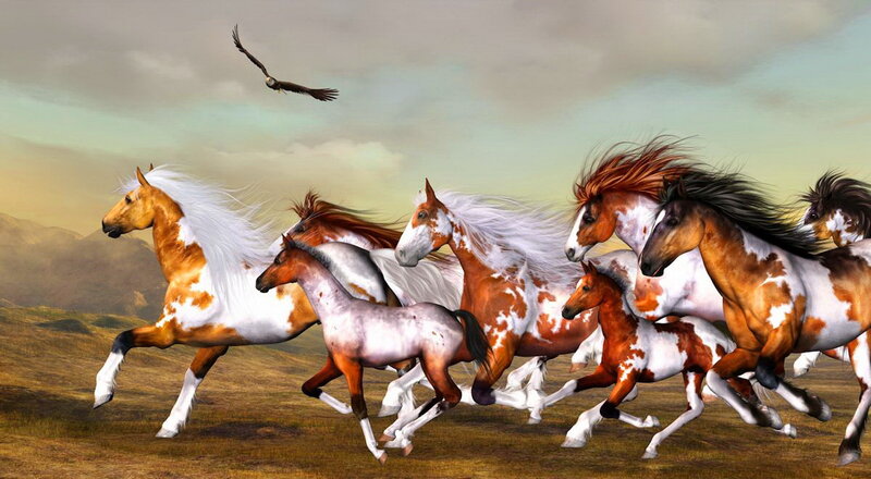 Running Horses and Foals