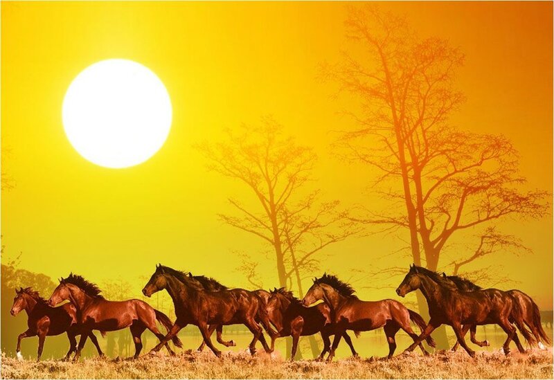 Running Horses at Sunset