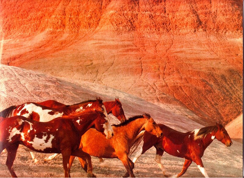 Running Horses in Desert — Red