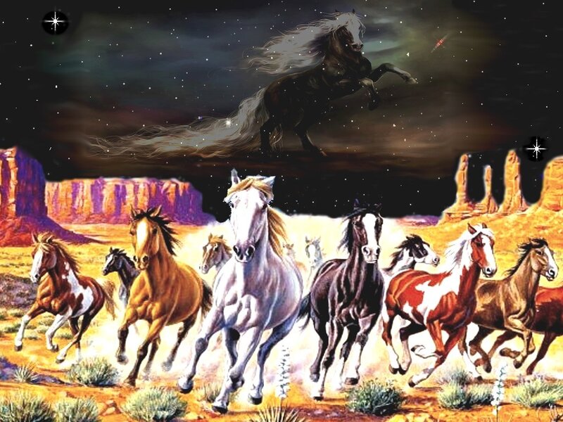 Running Horses in Desert