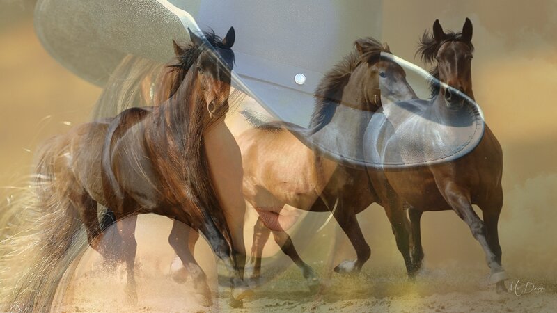 Running Horses in Dust — Brown, Dynamic, Afternoon, Digital Art