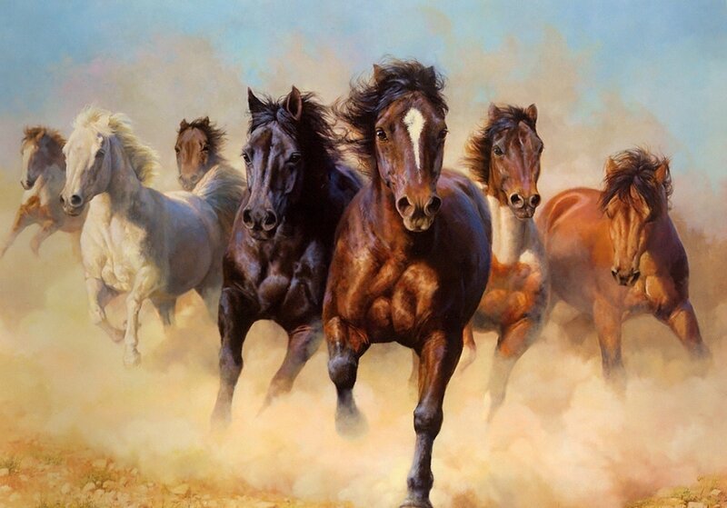 Running Horses in Dust — Brown, Dynamic